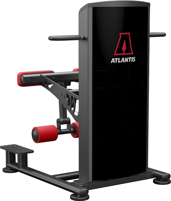 Atlantis Standing Leg Curl