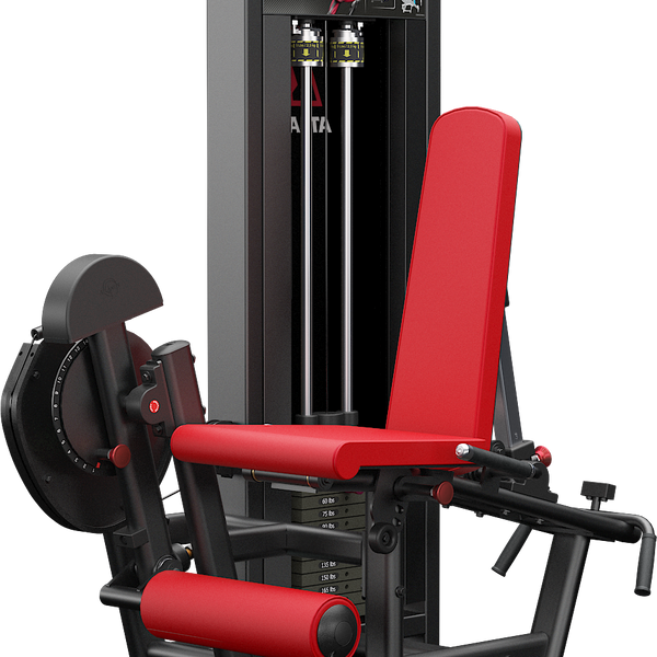 Atlantis leg curl hotsell