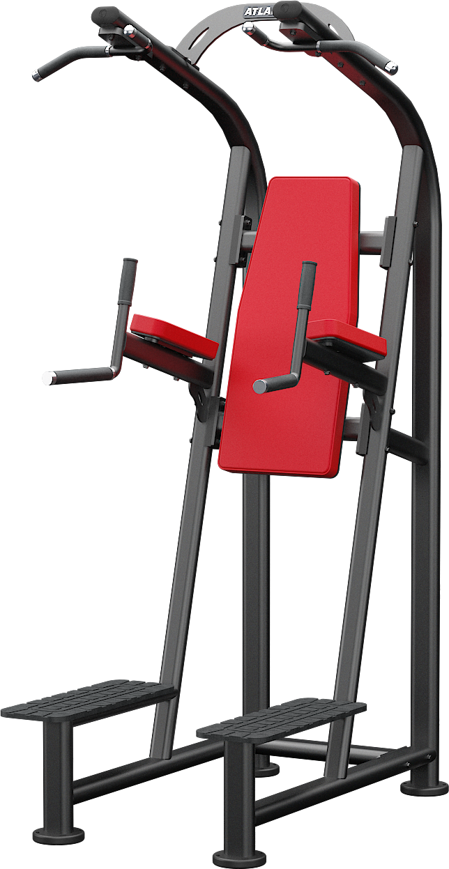 Atlantis Chin Dip Leg Raise