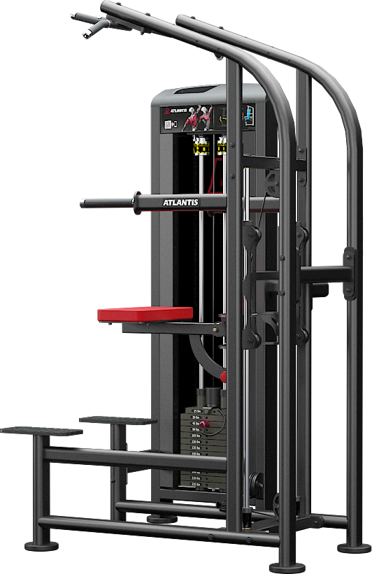 Atlantis Assisted Chin / Dip