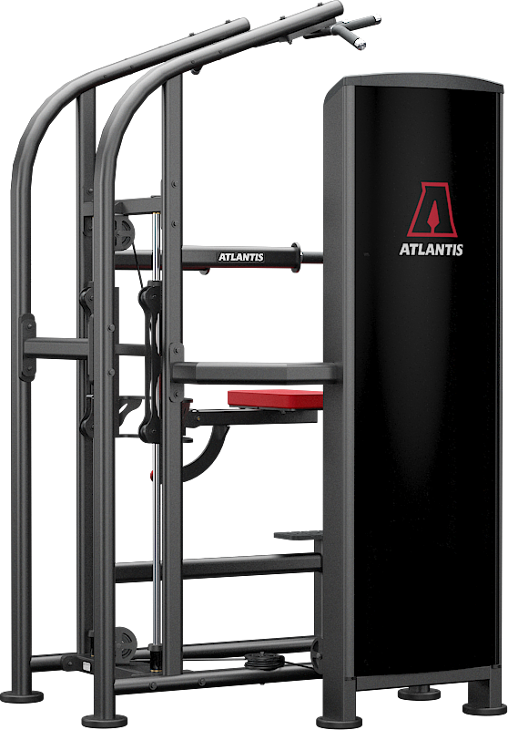Atlantis Assisted Chin / Dip