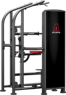 Atlantis Assisted Chin / Dip