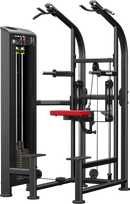 Atlantis Assisted Chin / Dip