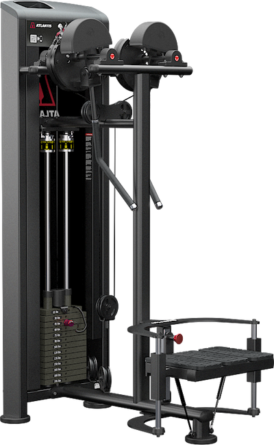 Atlantis E-252 Standing Lateral Raise | Dotmar Fitness