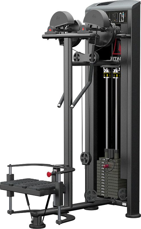 Atlantis E-252 Standing Lateral Raise | Dotmar Fitness