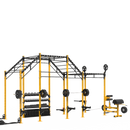 20' INCLINE MONKEY BAR RIG