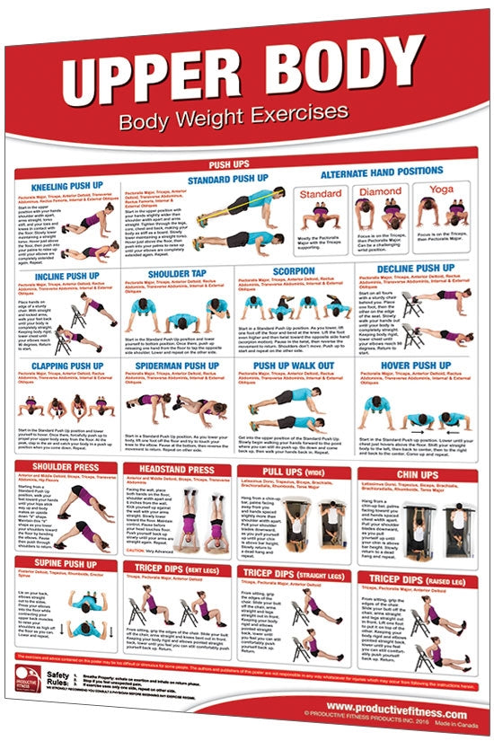 BODY WEIGHT UPPER BODY