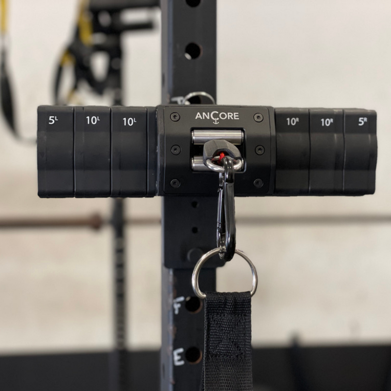 Rack Mount - ANCORE